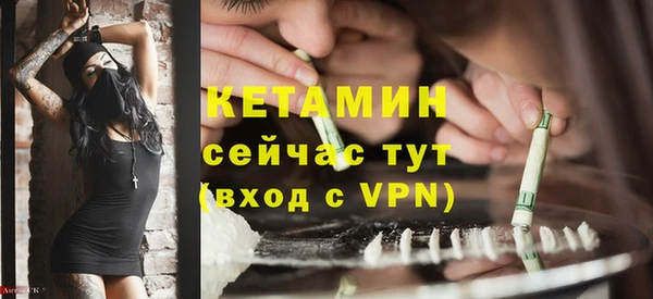 PSILOCYBIN Бородино
