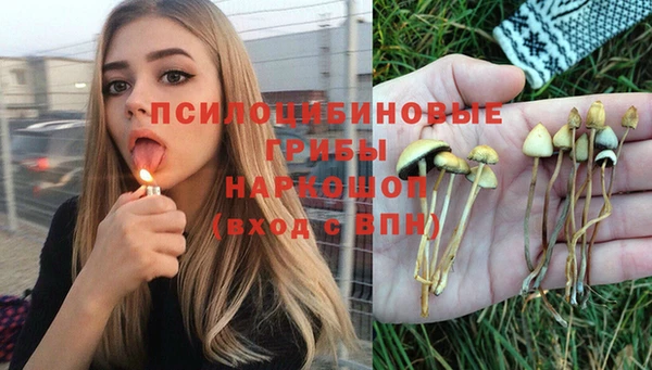 герыч Богородицк