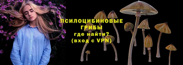 стаф Богородск