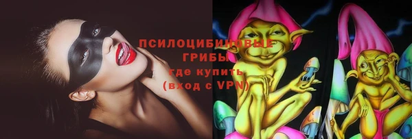PSILOCYBIN Бородино