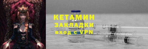 PSILOCYBIN Бородино