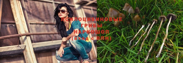 прущий лед Богданович