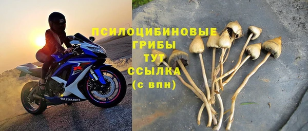 прущий лед Богданович