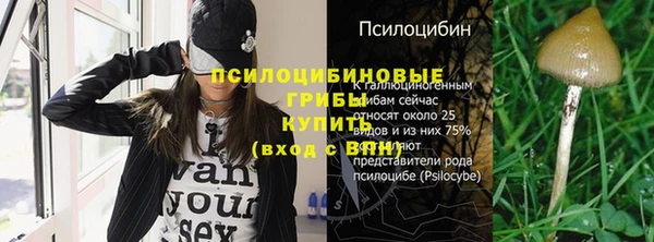 PSILOCYBIN Бородино