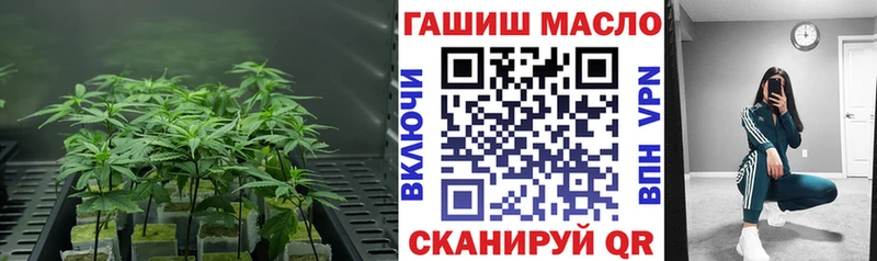 магазин    Балахна  Дистиллят ТГК жижа 