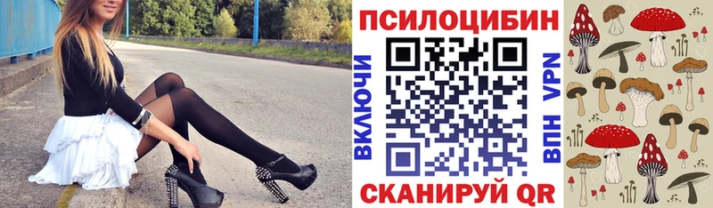 продажа наркотиков  Балахна  Псилоцибиновые грибы ЛСД 